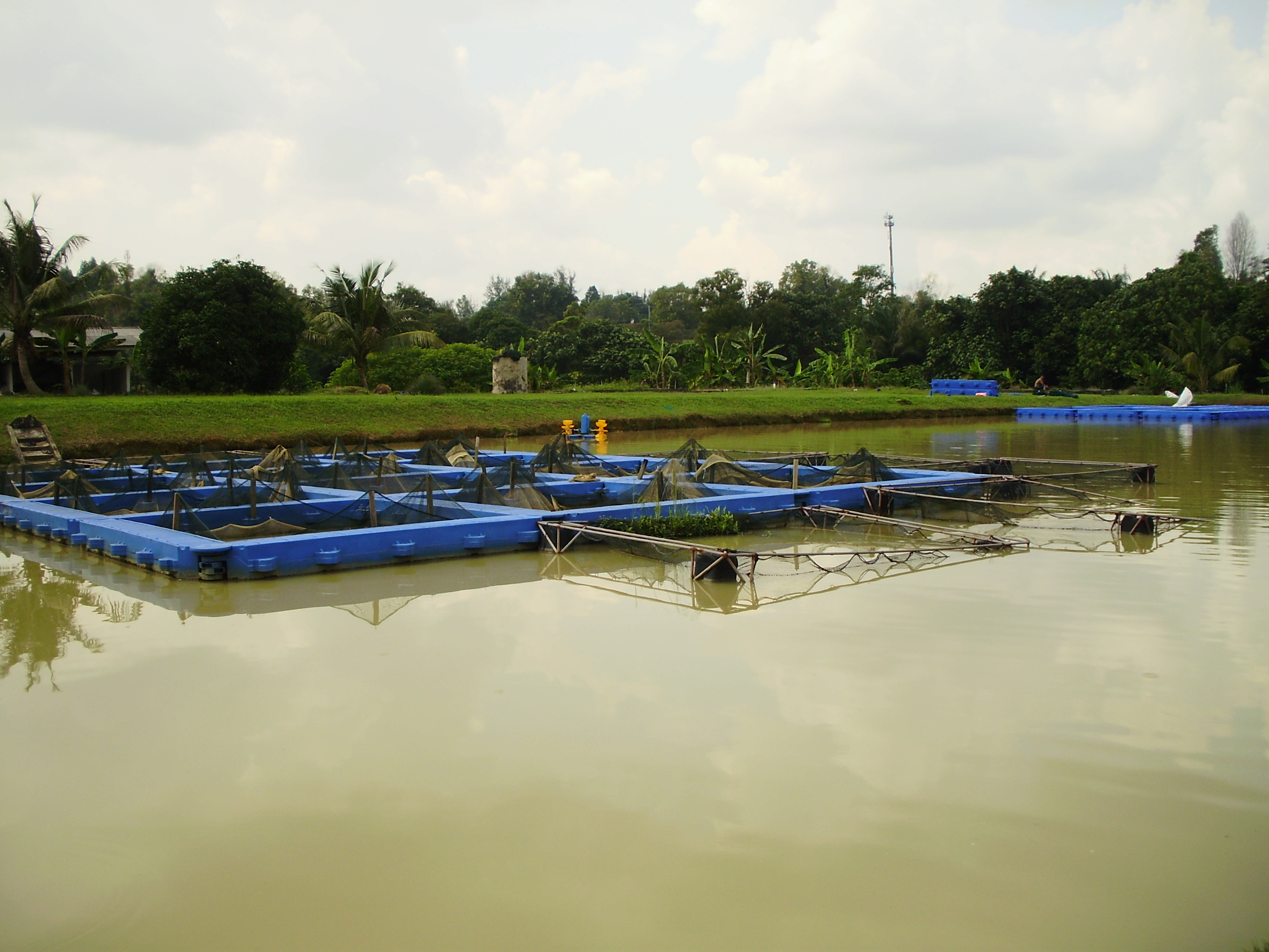 UPM Serdang