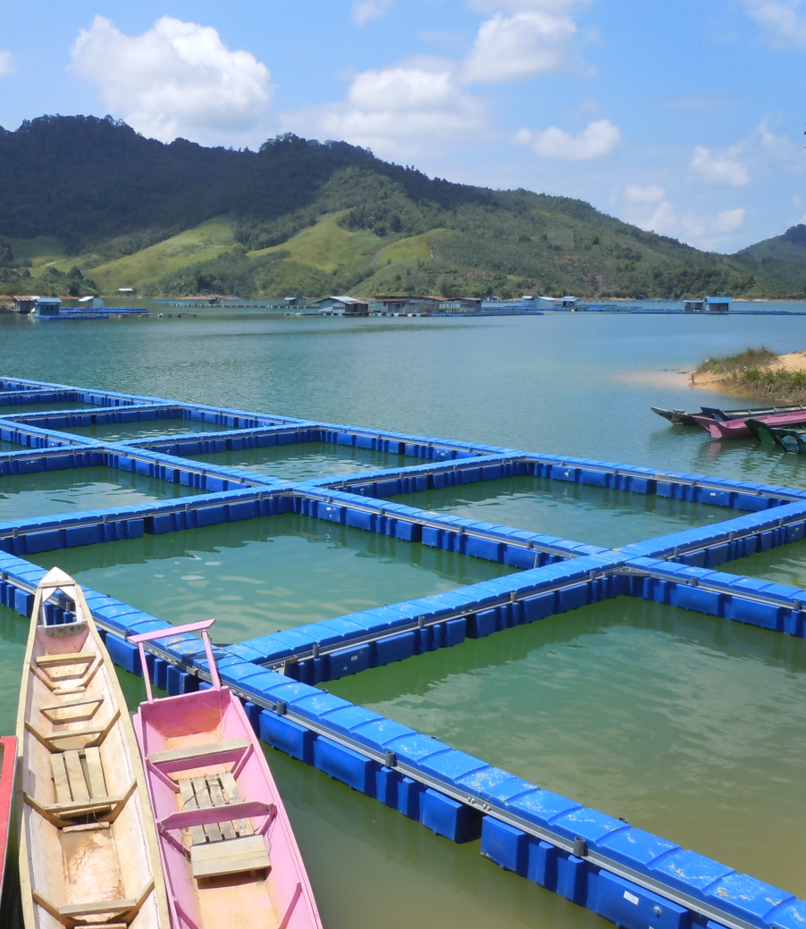 Aquaculture Infrastructure