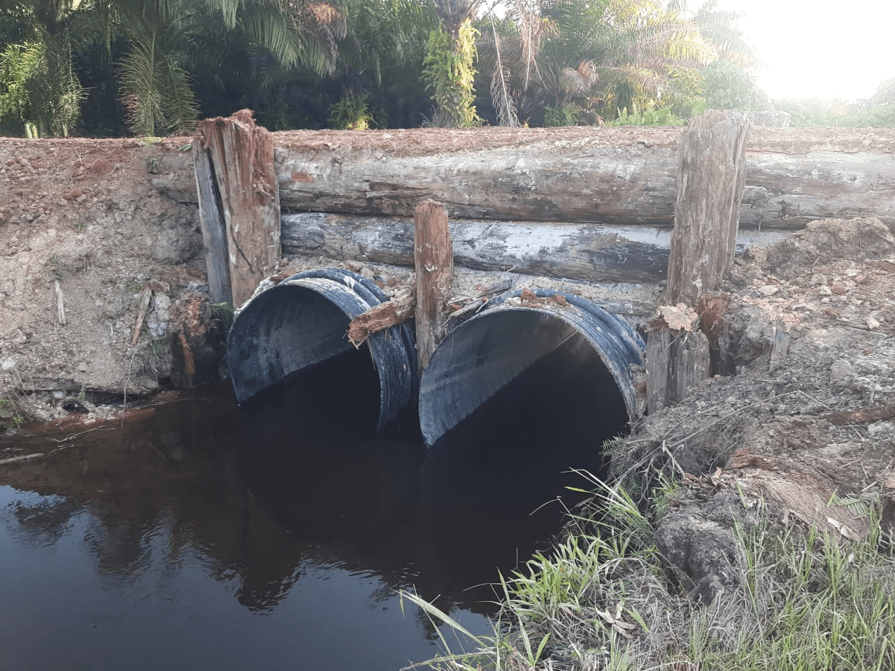 PT Citrakarya Sentosa Mandiri, Indonesia