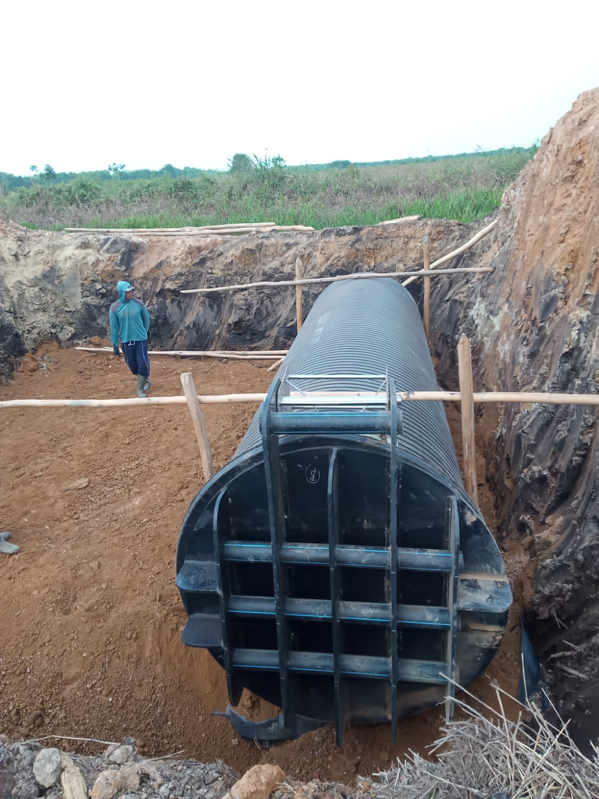 Estate of PT Mitra Bangun Mulia, Indonesia