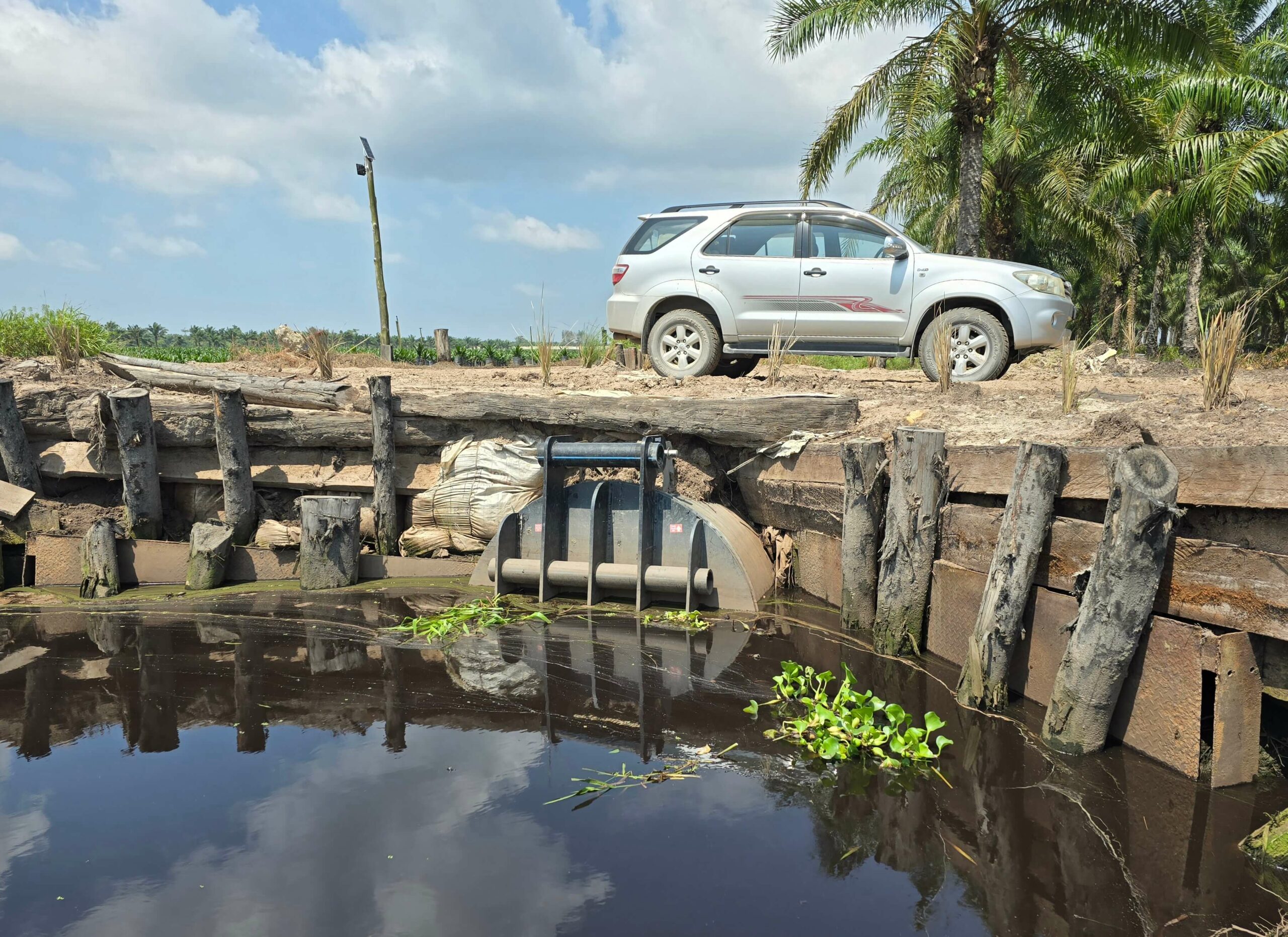 Sarawak Oil Palm, Taniku Estate, Miri