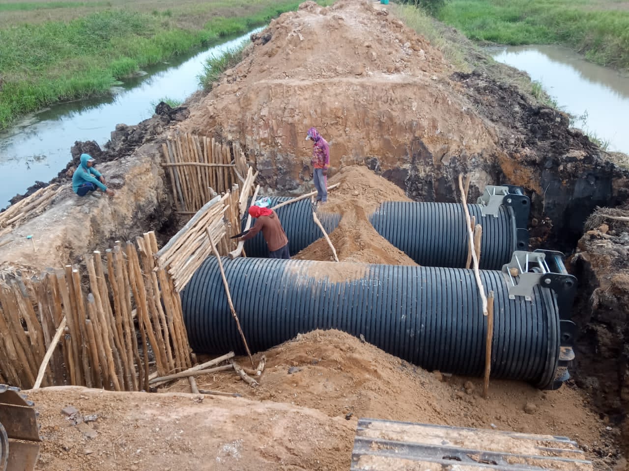 Estate of PT Mitra Bangun Mulia, Indonesia