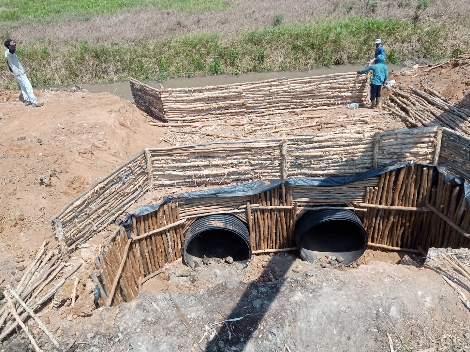 Estate of PT Mitra Bangun Mulia, Indonesia