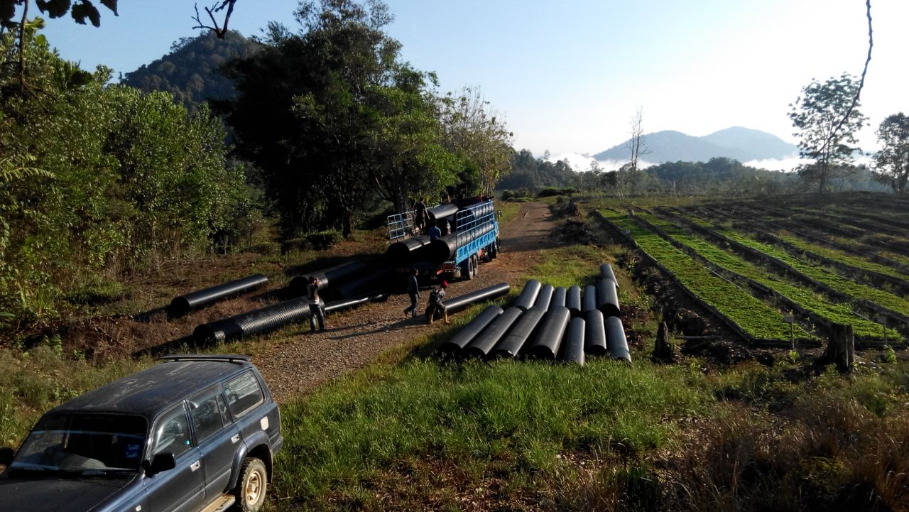 Sabah Tea Plantation, Sabah