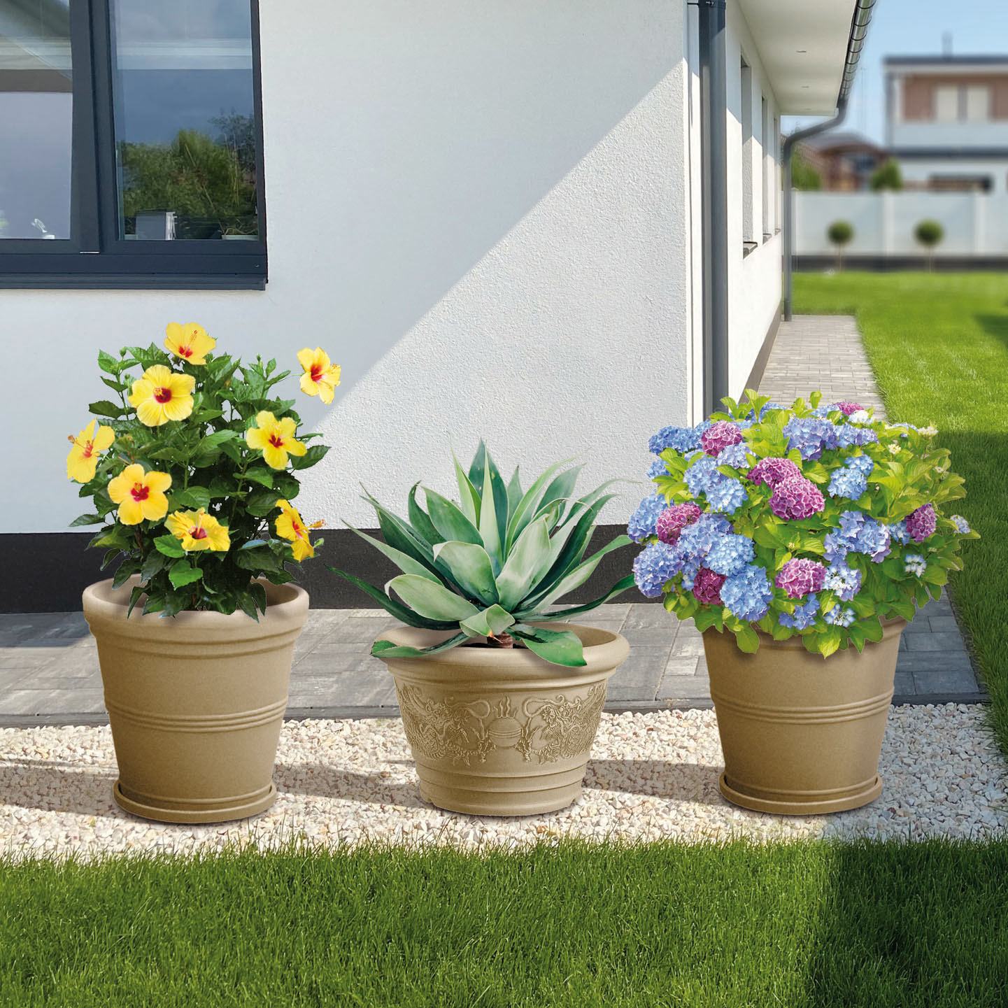VAS Polyplanter